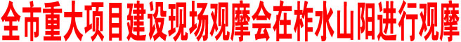 商洛市重大項(xiàng)目建設(shè)現(xiàn)場觀摩會(huì)在柞水山陽進(jìn)行觀摩