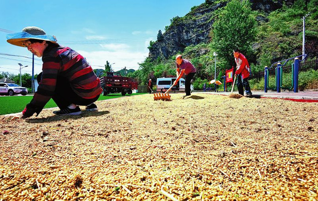 風吹麥浪 顆粒歸倉