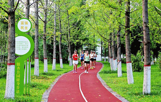 銀杏林下好休閑