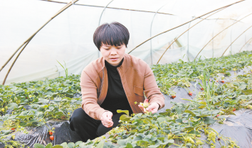 創(chuàng)業(yè)創(chuàng)新“她”力量 筑夢(mèng)路上放異彩