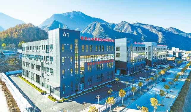 持續(xù)優(yōu)化營商環(huán)境 做大做強(qiáng)產(chǎn)業(yè)規(guī)模