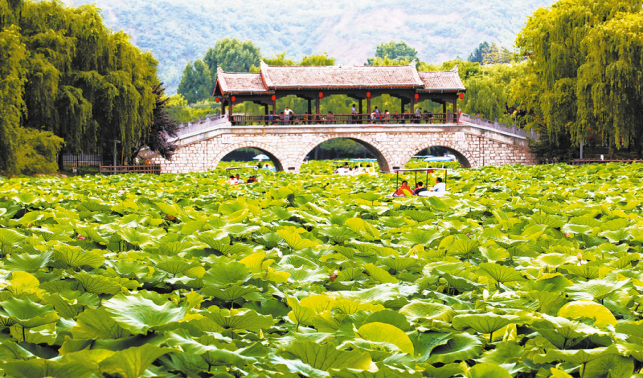 好山好水好氣候 商洛如何借“綠”生“金”？
