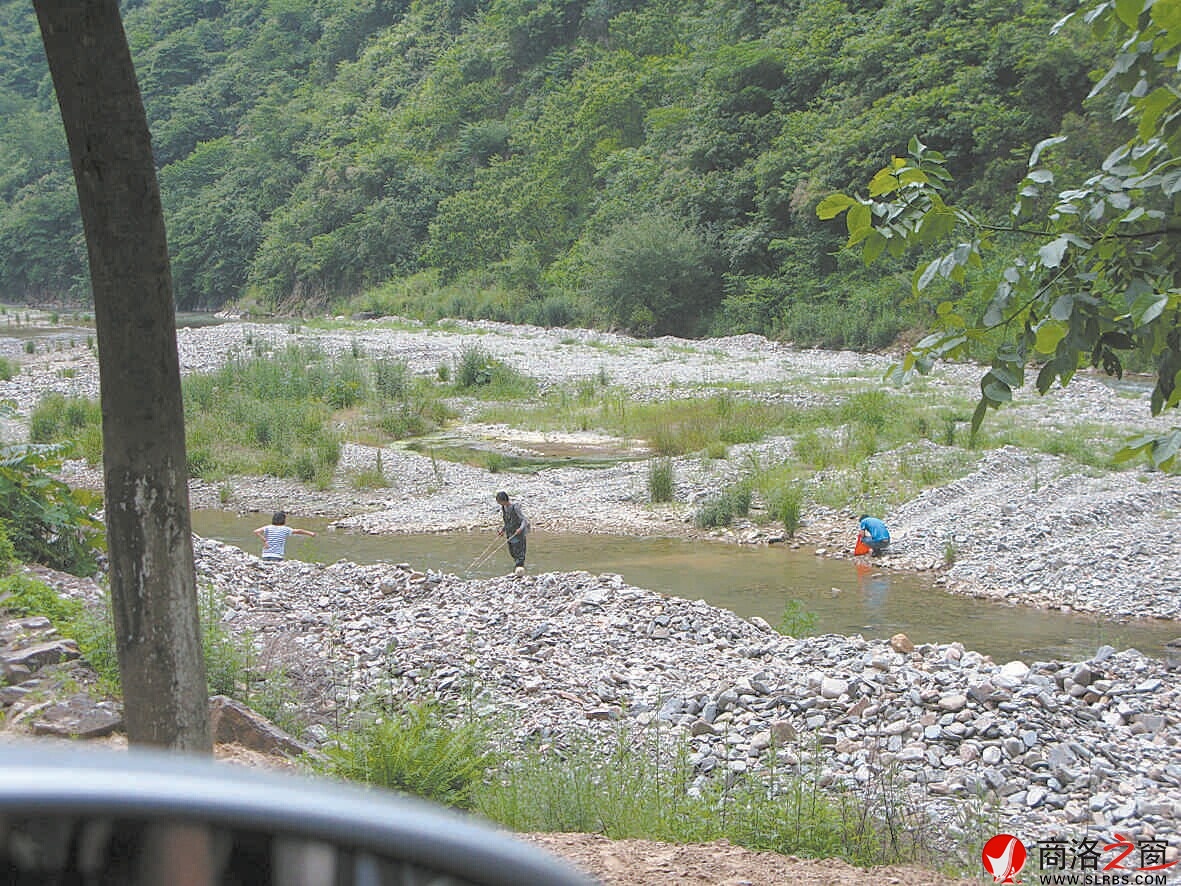 6月2日，柞水杏坪鎮(zhèn)金口村不到十里的河道電魚的就有四伙人