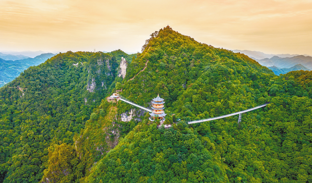 秦嶺腹地護(hù)青綠