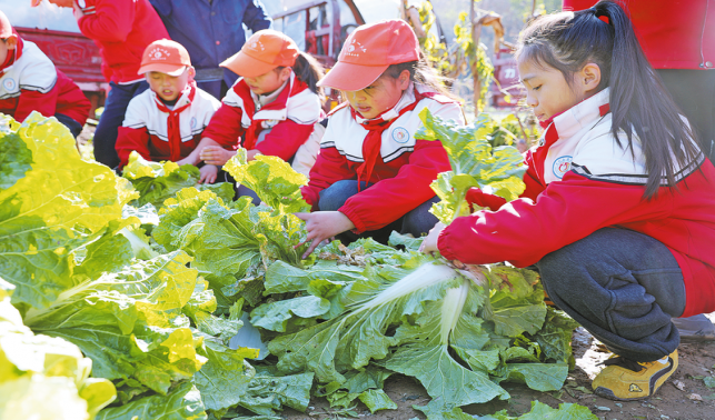 從課堂到田間 勞動(dòng)教育“接地氣”