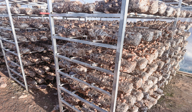 產(chǎn)業(yè)旺 人心齊 環(huán)境美