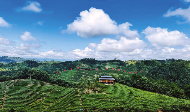 守護綠水青山 繪就生態(tài)畫卷