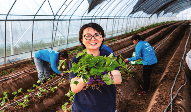 讓山間長出新希望