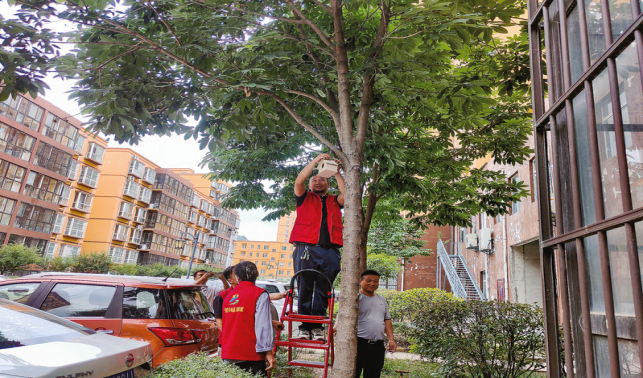 從“刺頭”到“領(lǐng)頭”