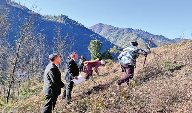 從“有價(jià)可循”到“投資未來(lái)”