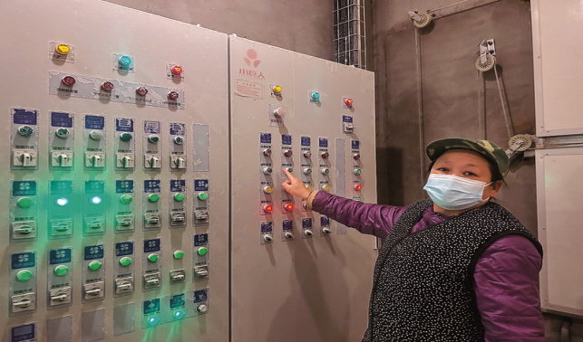 智能雞舍里的“綠色農(nóng)場(chǎng)”