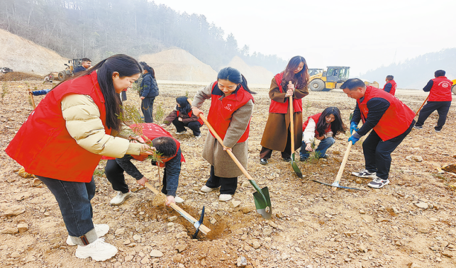 踐行生態(tài)文明 守護(hù)綠樹青山
