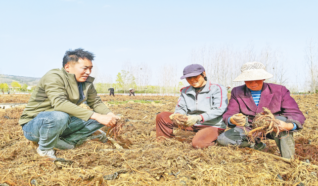 90后農(nóng)民張小龍創(chuàng)業(yè)記