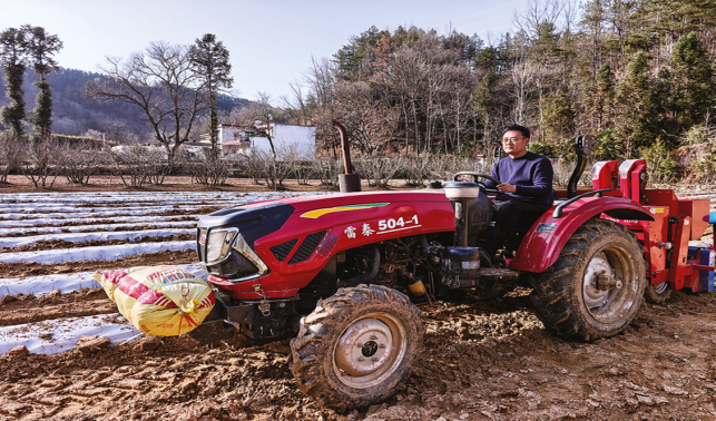 歸雁反哺鄉(xiāng)土 實干興農富民