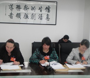 文化、衛(wèi)生界委員認(rèn)真記錄委員討論內(nèi)容