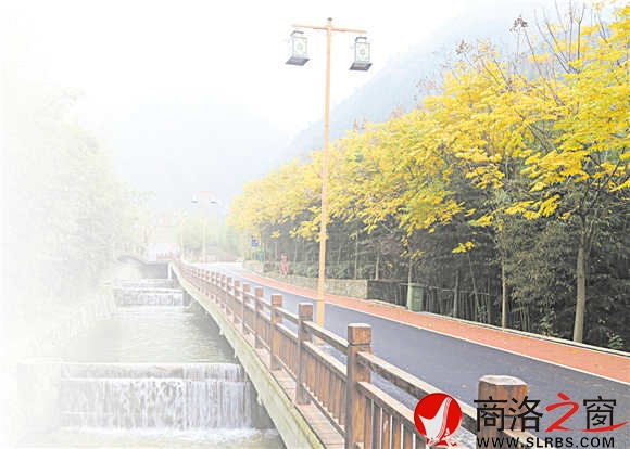 碧水、青竹、黃葉、觀景道，美麗鄉(xiāng)村竹林關(guān)的鄉(xiāng)間小道。