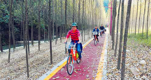 在如畫(huà)后灣享受田園慢生活