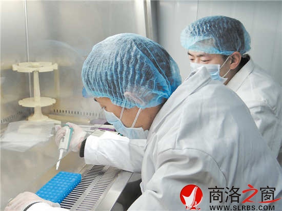 何力與劉少功在DNA實(shí)驗(yàn)室里聚精會神地做實(shí)驗(yàn)。