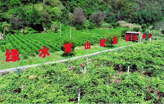 鞏固脫貧成果 促進持續(xù)增收