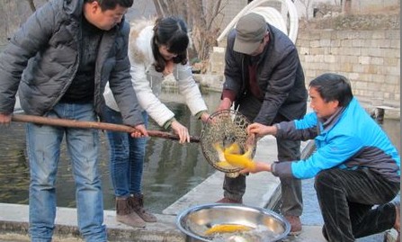 柞水：秦嶺深處的冷水魚養(yǎng)殖