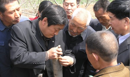 打造商洛核桃新時(shí)代