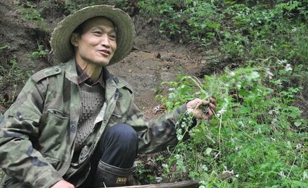 柞水：行走在秦嶺深處的農(nóng)民健康顧問