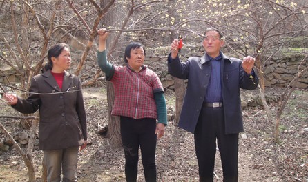 丹鳳：山里群眾致富的貼心人