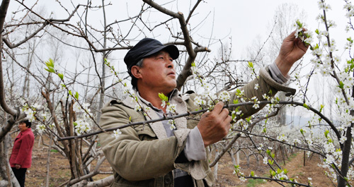 “單腿”走出的精彩人生
