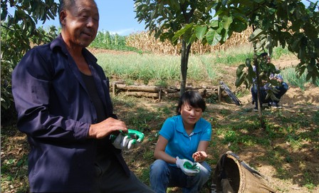 鎮(zhèn)安:讓青春在基層綻放