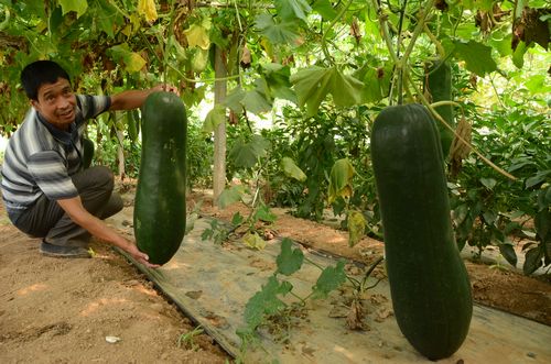 科學(xué)發(fā)展打造陜南強(qiáng)區(qū) 苦干實(shí)干建設(shè)幸福商州