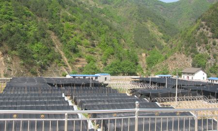 柞水：大學(xué)生創(chuàng)業(yè)的好榜樣