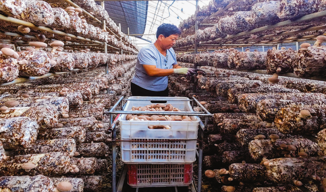 “七彩村居”的幸福密碼