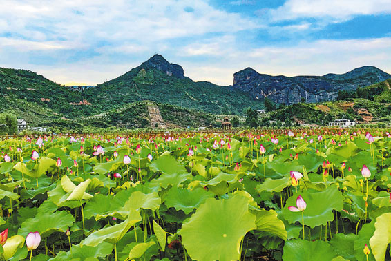 農(nóng)旅融合描繪山陽(yáng)法官振興新畫卷
