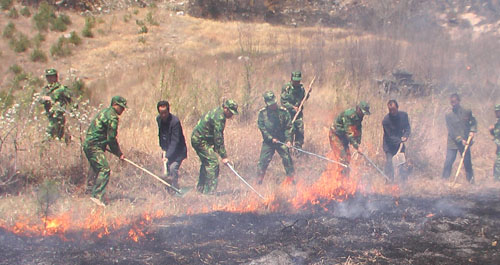 洛南縣組織森林防火撲救應(yīng)急演練