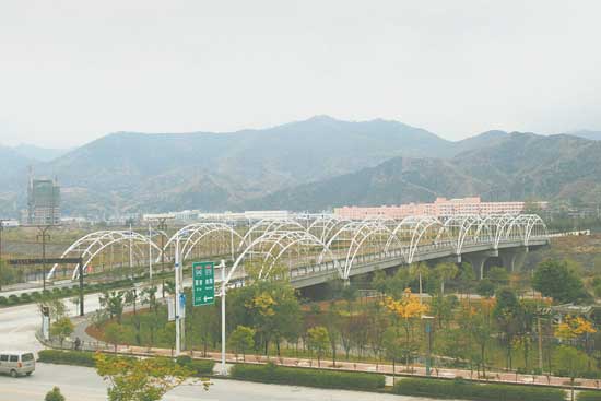 奮力升起的“朝陽”