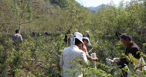 利用國(guó)家財(cái)政部獨(dú)家“大學(xué)技術(shù)推廣項(xiàng)目”
