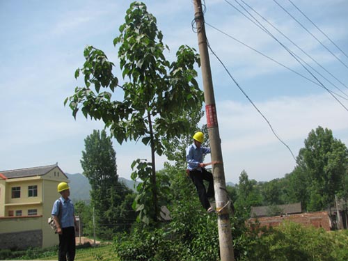 洛南縣城關(guān)鎮(zhèn)加強(qiáng)農(nóng)電安全排查備“三夏”