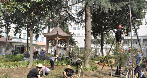 鎮(zhèn)安縣醫(yī)院綠地布局花壇建設(shè)完工
