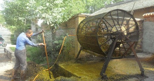 核桃脫皮機(jī)在洛南大顯身手