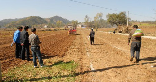 寺坡鎮(zhèn)推進小麥高產(chǎn)示范點創(chuàng)建工作