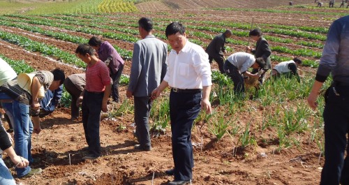 景村鎮(zhèn)百名干部走出機(jī)關(guān)和群眾一起忙秋播