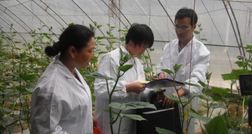 鎮(zhèn)安組織對全縣農(nóng)副產(chǎn)品進(jìn)行抽樣檢測