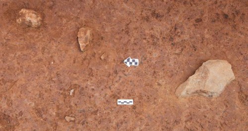 洛南張豁口舊石器地點發(fā)掘取得重要突破