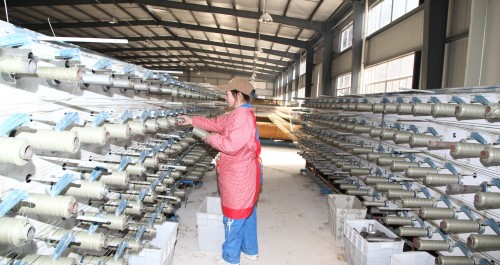 鎮(zhèn)安強力推進縣域工業(yè)集中區(qū)建設(shè)