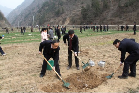山陽(yáng)縣檢察院干警積極參加植樹(shù)活動(dòng)