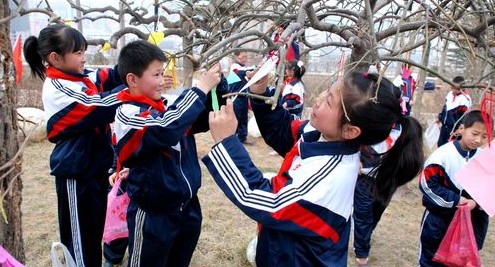 洛南縣小學(xué)生們?yōu)樾?shù)掛愛(ài)心卡