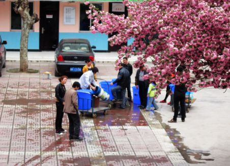 鳳鎮(zhèn)街村啟動(dòng)自來(lái)水改造工程