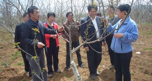 專家到商州現(xiàn)場指導(dǎo)救災(zāi)