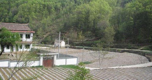 丹鳳縣花瓶子鎮(zhèn)發(fā)展地膜洋芋產(chǎn)業(yè)