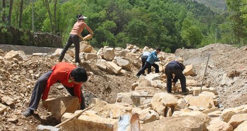 銀花鎮(zhèn)葉家灣村組織勞力搶修護(hù)田河堤